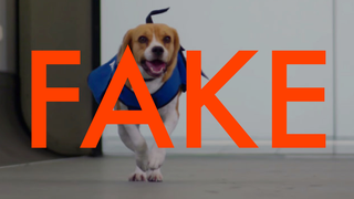 KLM's Sherlock dog is an adorable lie